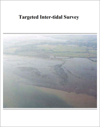 front cover of inter tidal report