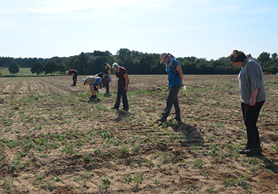 six people walking in a line in a field