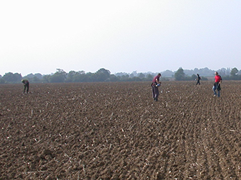 four people detecting in a ploughed field