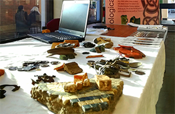 a range of archaeological objects displayed on a table