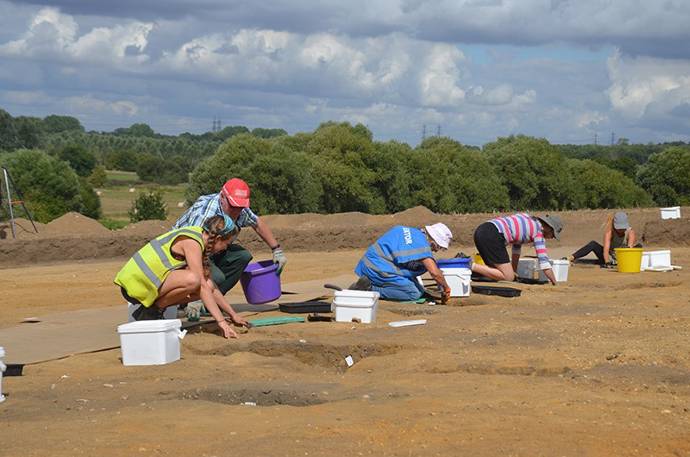 people in field excavating