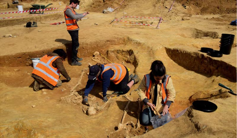 4 people excavating skeletons