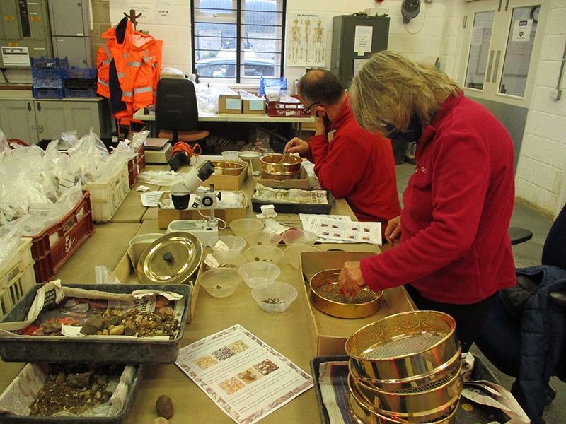 two people sorting soil samples