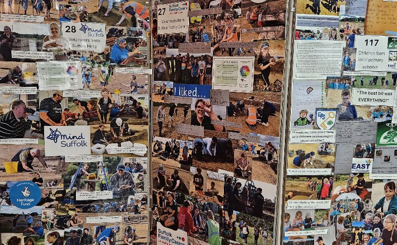 collage of photos