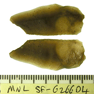 an unpatinated flint microlith of Mesolithic date, struck from a brown flint