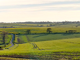 a view across fields on a sunny day in Suffolk