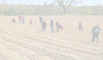 group of people on field