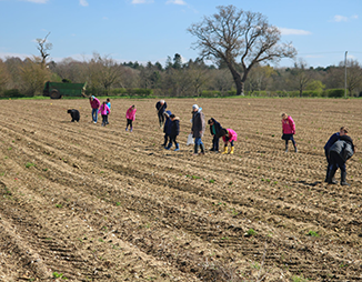 children fieldwaking at rendlesham