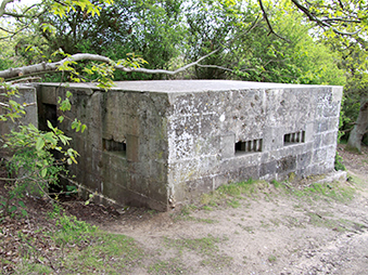 a pillbox at Hoist Covert, Walberswick